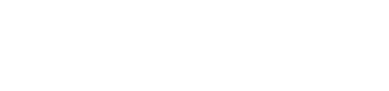 Logo STW
